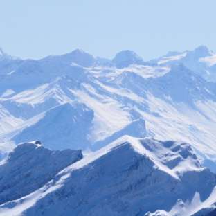 Was uns 2020 bewegte