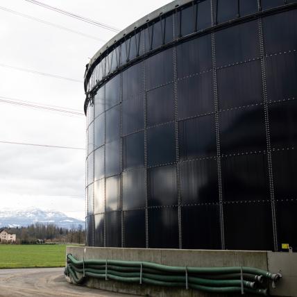 Strategieberatung und Innovation