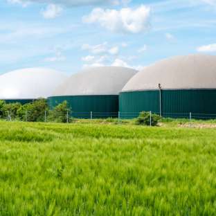 Biogas der Zukunft
