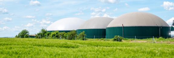 Biogasbeschaffung
