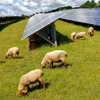 PV-Pipeline in Italien