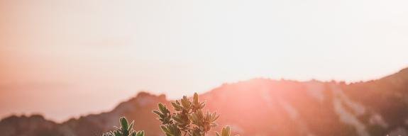 Energie Zukunft Schweiz